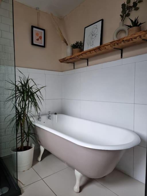 Holiday home Spacious Victorian Belfast